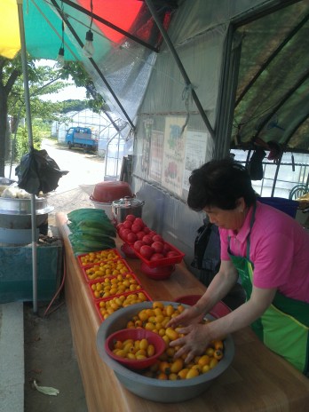 tomato stand